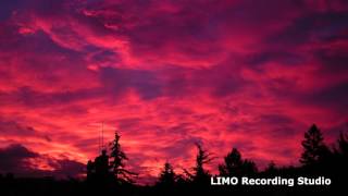 Tom Perry - Twin Musicom