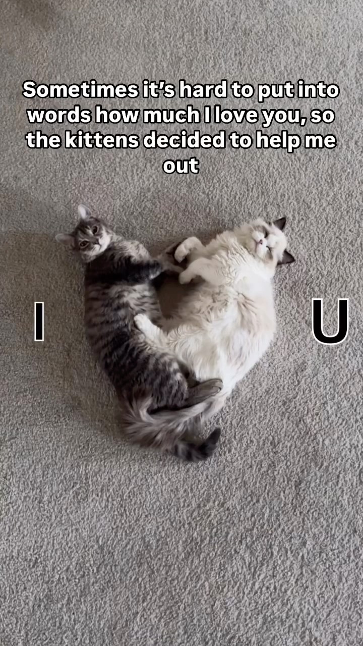 I ❤️ U