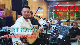 Mert KAYA //Ne Deyim Gardaşım / NETTE İLK /PINARBAŞI SAHNE// [Gönül Dağ Medyaᴴᴰ] 2023 Resimi