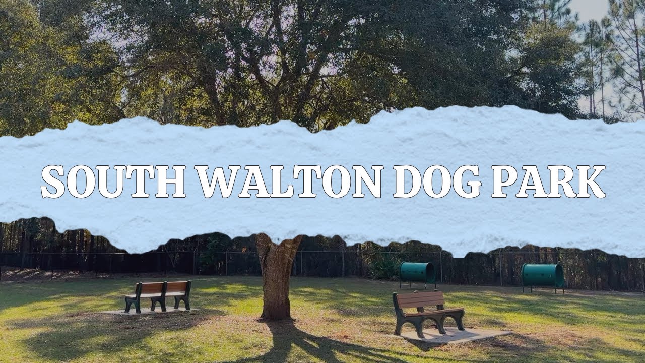 South Walton Dog Park