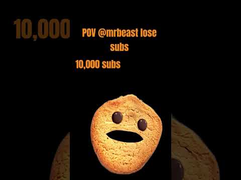 POV Mrbeast lose subs