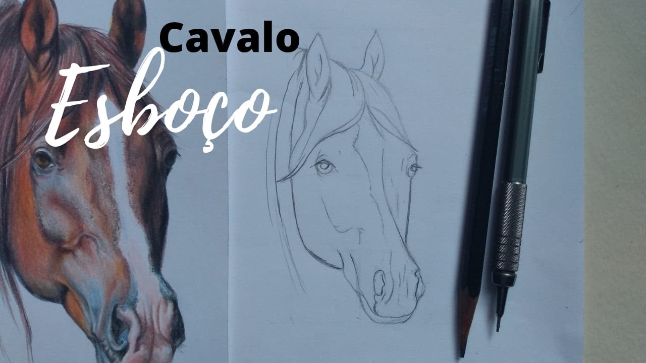 Como desenhar um Cavalo realista PASSO A PASSO narrado 