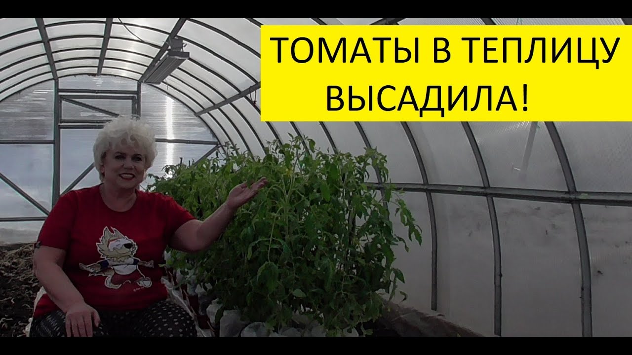 Ольга Чернова Новые Видео 2022 Года