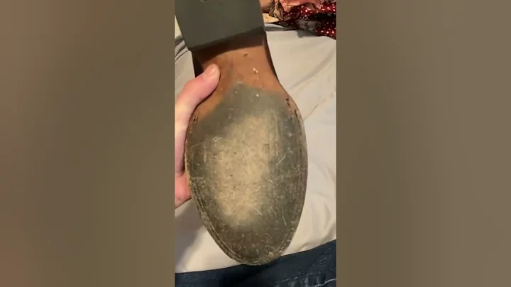 Tecovas Prescott Bison Boots Review