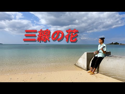 三線の花 Sanshin No Hana