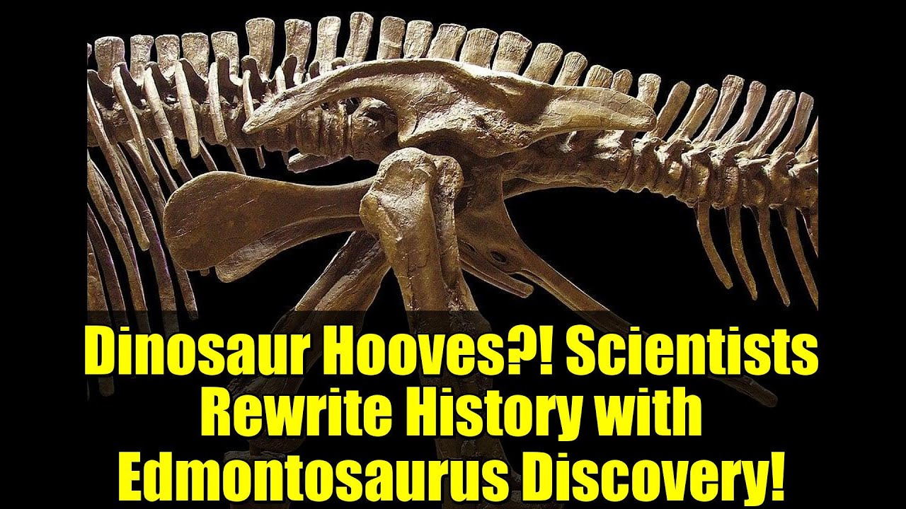 Dinosaur Hooves?! Scientists Rewrite History with Edmontosaurus Discovery!