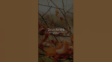 🌿 خاشع يخترق القلوب | تلاوة مؤثرة بصوت الشيخ ياسر الدوسري
