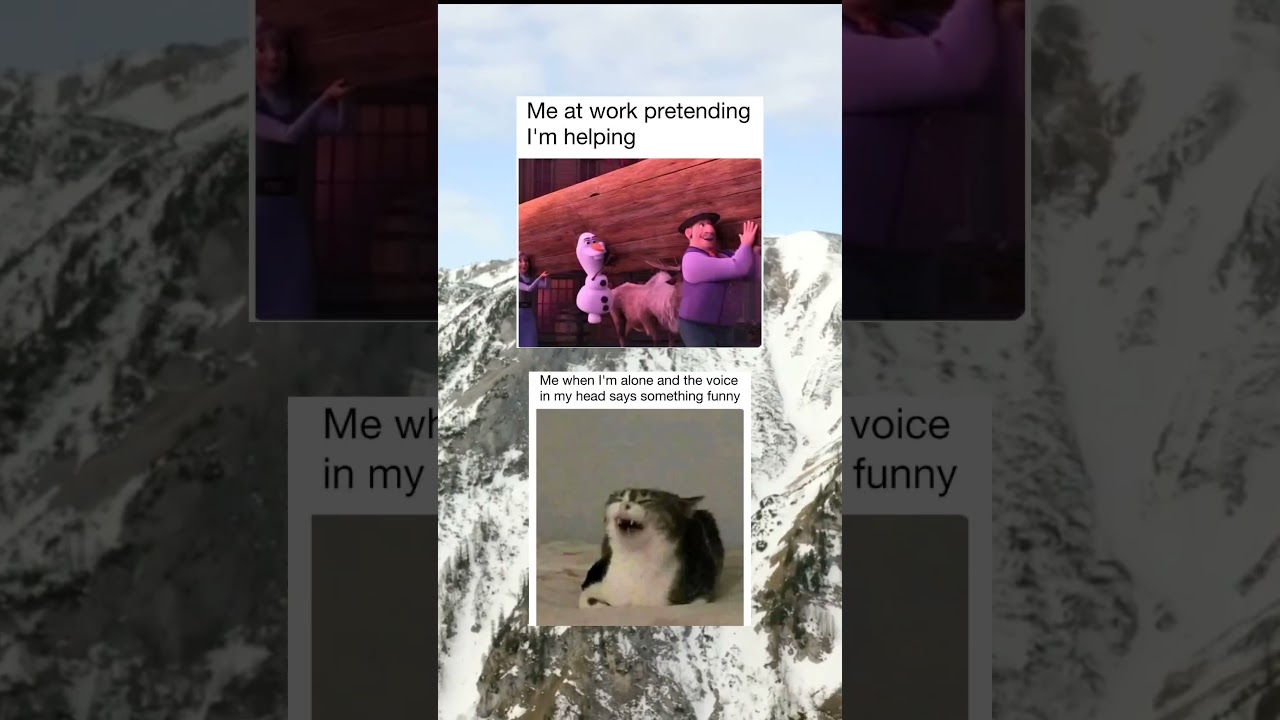 Me pretending to help at work 😀 