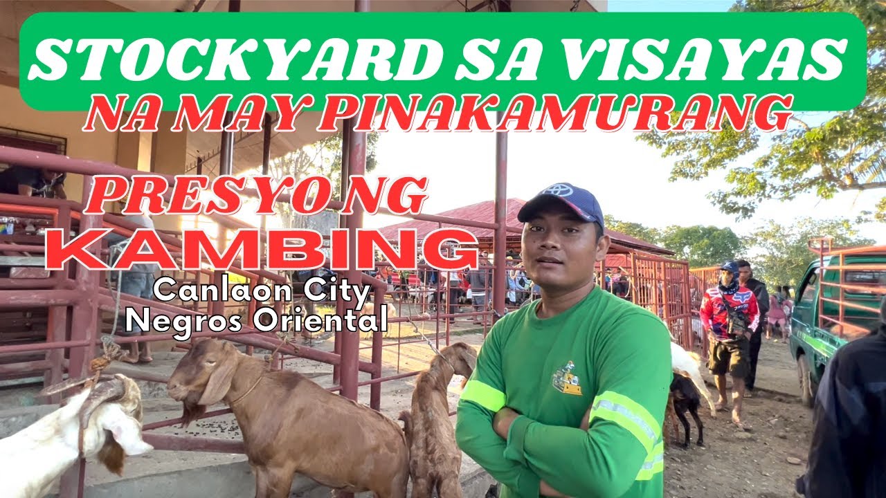 STOCKYARD SA VISAYAS NA MAY PINAKA-MURANG PRESYO NG KAMBING | PRICES UPDATED 2023 | SOLLE'S G.B.