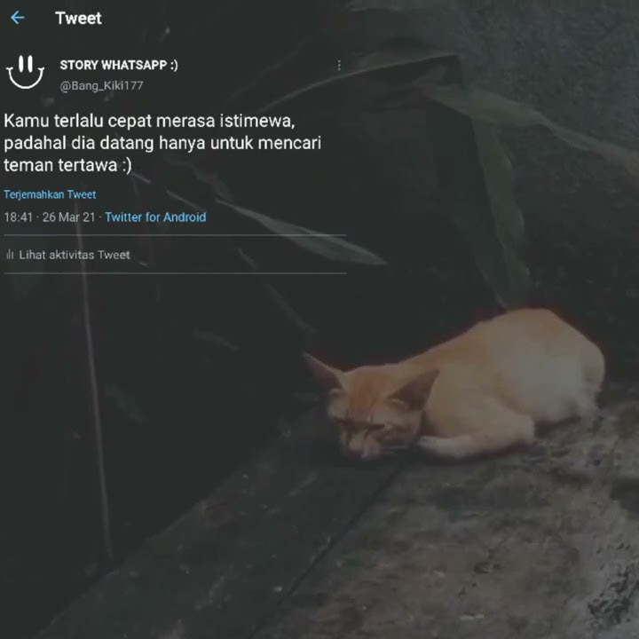 Story wa 30 detik | Story wa galau | Story wa kekinian