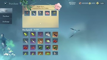 Guide Manor Sword Of Justice