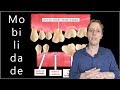 Vi que Tenho Dentes Moles   - O que Devo Fazer?