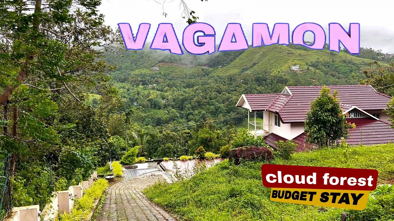 Cloud forest homestay 😊 budget stay vagamon