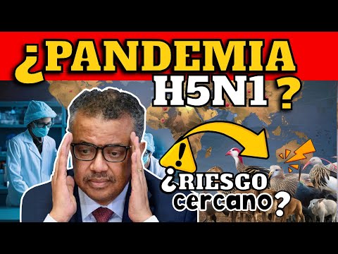 ¡ALERTA! ¿RIESGO DE