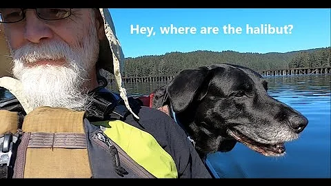 T200 ROV Thruster battery test