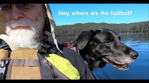 T200 ROV Thruster battery test