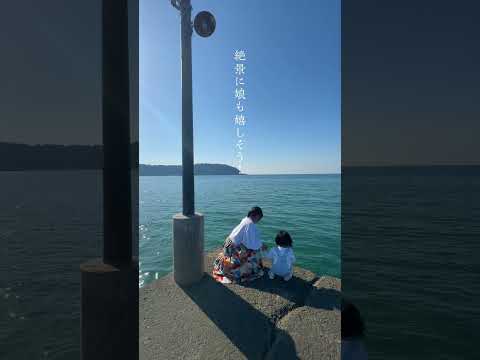 【親子でお出かけ】子どもと海の上をお散歩できる桟橋【千葉観光 / 絶景スポット】#shorts