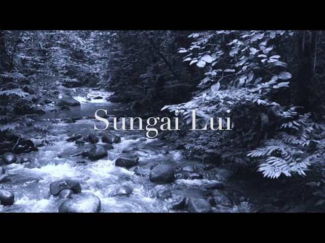 Sg. Lui Aizat Amdan feat. Azlan Typewriter (Lyric Video)