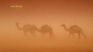 Hatuba Karavan Хатуба Караван