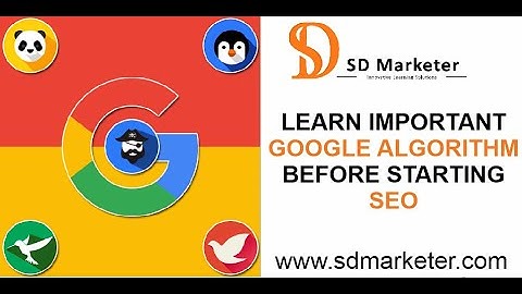 Learn Important Google Algorithm Before Starting SEO | Hummingbird, Panda, Penguin, Pigeon
