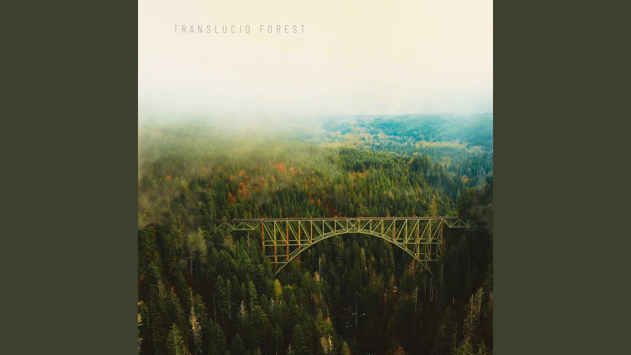 Watch Translucid Forest on YouTube
