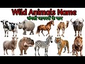 Animals Name Part| Wild Animals Namein Hindi &amp; English | Names of wild animals