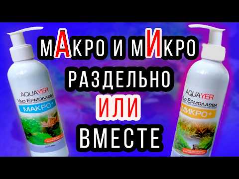 МИКРО и МАКРО