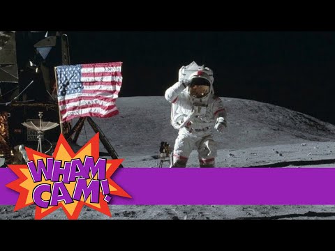 Wham Cam: Lunar
