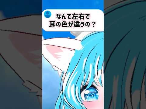 左右で耳の色が違う理由 #質問コーナー #コメント大歓迎 #vtuber #推しをお探しですか #新人vtuber #shorts
