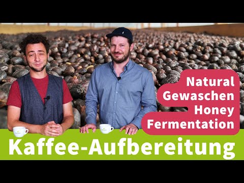 Nachernteprozess und Aufbereitung