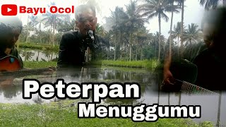 Menunggumu - Peterpan ( Cover ) Kang hendrik