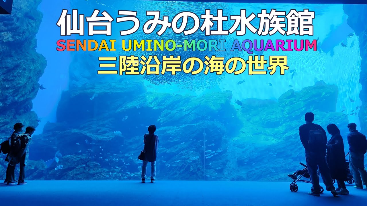 東北で一番大きな水族館【仙台うみの杜水族館】