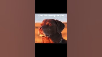 Worst spawn ever #shorts