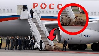 First Time in History - US Troops Kneel Down to Roll Out Red Carpet for Putin