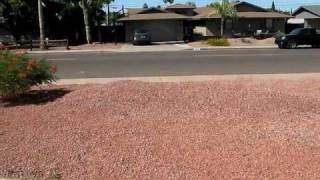 House For Rent Phoenix East Cholla Street