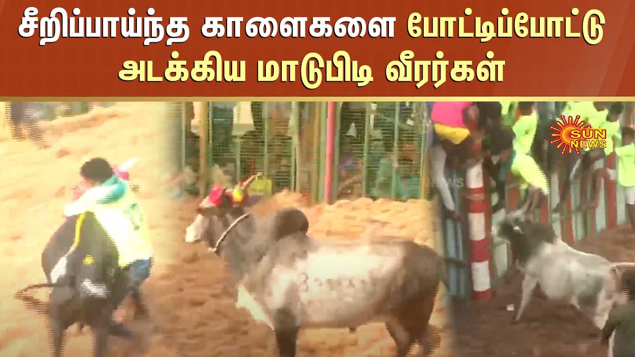 Pudukkottai Jallikattu 2023 | சீறிப்பாய்ந்த காளைகளை போட்டிப்போட்டு அடக்கிய மாடுபிடி வீரர்கள்