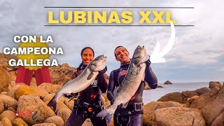 ✅LUBINAS XXL con la CAMPEONA GALLEGA de Pesca Submarina [ESPECIAL 60.000 KONGRIAKERS]
