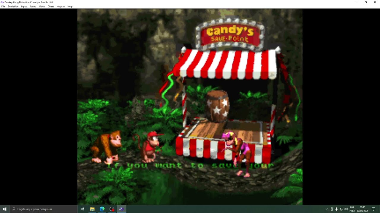 SNES9X - Donkey Kong Distortion Country | Hack ROM