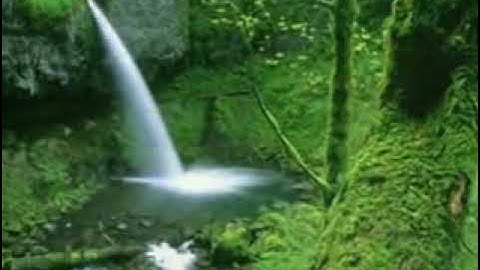 سورة الكهف الشيخ ماهر علوان