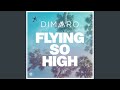 Flying so High (Radio Edit)