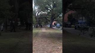 Search underway for armed man in Tremé