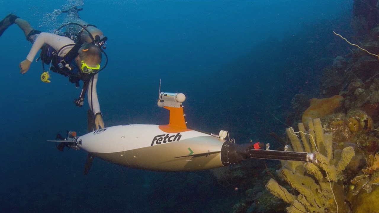 Coastal Sustainability Institute