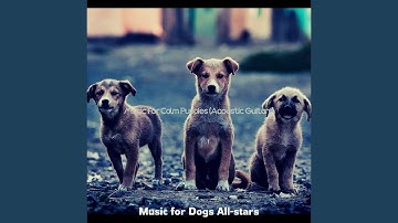 Inspiring Backdrops for Calm Puppies