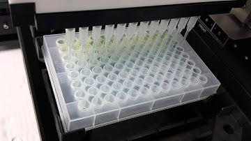 Tested / Complete BioTek Precision Microplate Pipetting System PRC384U BTPRC384U [BOSTONIND] - 7677