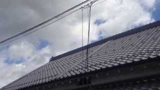 黒豆卸店　小田垣商店：兵庫県篠山市立町