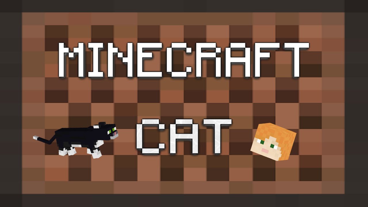 Cat: Minecraft Music Video - YouTube