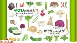 【全32種類】野菜の名前をおぼえよう２＆数をかぞえてみよう！知育【赤ちゃん・子供向けアニメ】Learn vegetables name | Let&#39;s count!