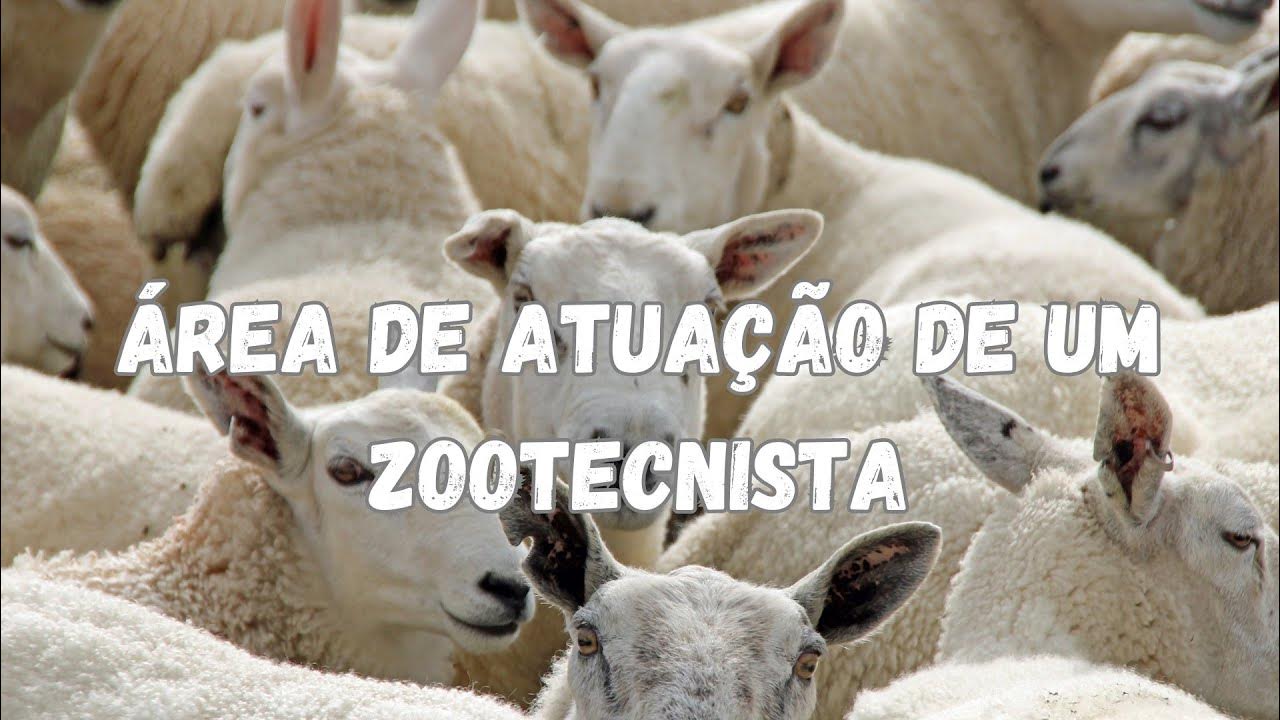 Área de atuação de um Zootecnista - YouTube