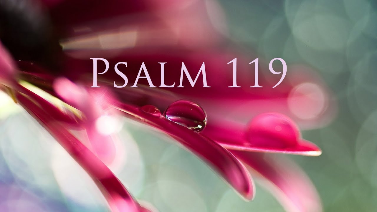 Psalm 119 First Edition HD YouTube