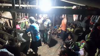 Buklog. Subanen Tribe Balyan Thanksgiving Ritual